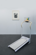 Load image into Gallery viewer, "Hamster Treadmill"